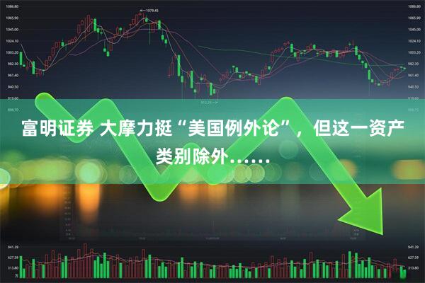 富明证券 大摩力挺“美国例外论”，但这一资产类别除外……