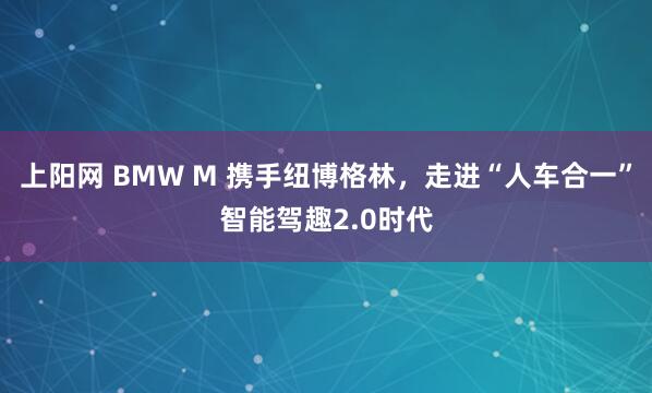 上阳网 BMW M 携手纽博格林，走进“人车合一”智能驾趣2.0时代