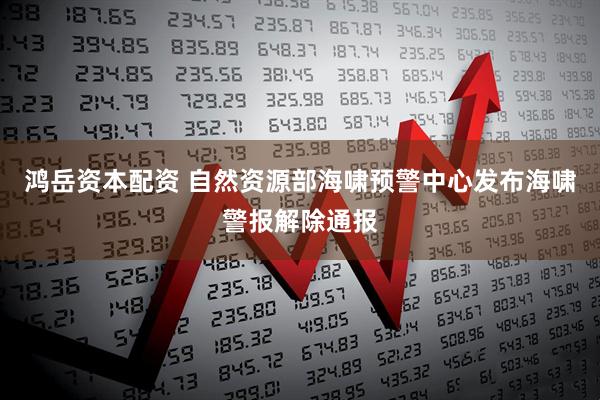 鸿岳资本配资 自然资源部海啸预警中心发布海啸警报解除通报