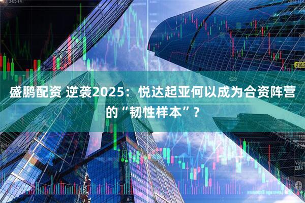 盛鹏配资 逆袭2025：悦达起亚何以成为合资阵营的“韧性样本”？